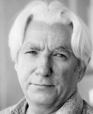 Мельников Д.И.